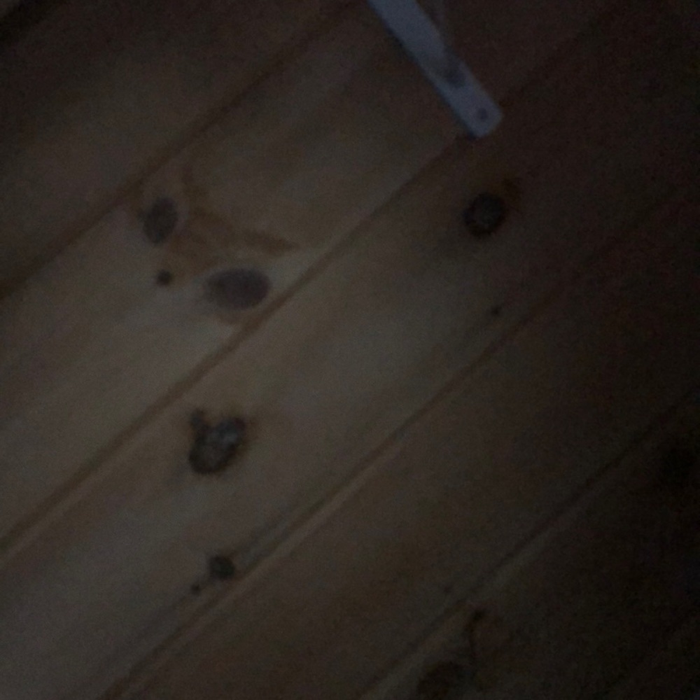 Meet your Posher, Hailey